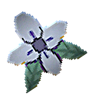 A CG flower rotating