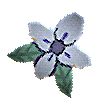 A CG flower rotating